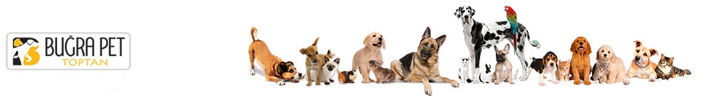 Buğra Pet Alış Veriş Sitesi